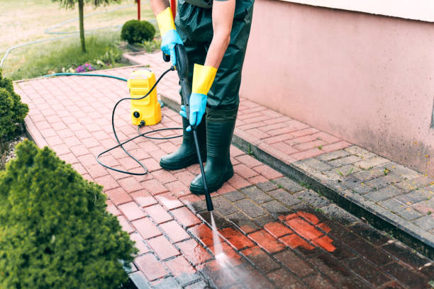Best Fence Cleaning  in Westwood, MI